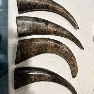 Set of Four Water Buffalo Drinking Horns